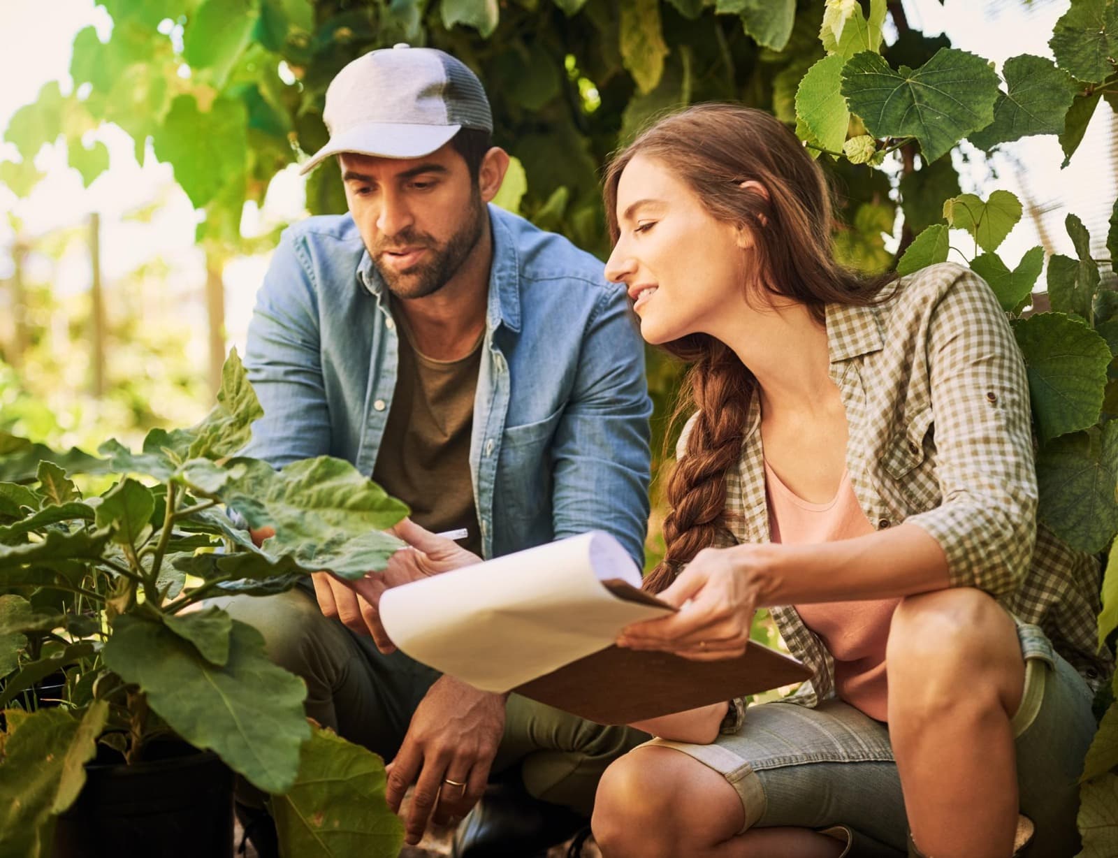 Outdoor collaboration — Caribbean climate expertise