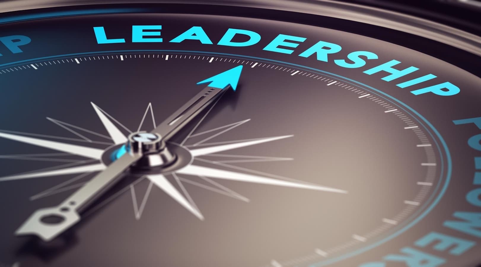 Sustainable Leadership and Development programme hero